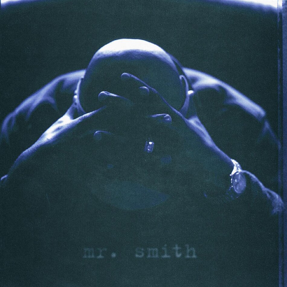 LL Cool J - Mr. Smith