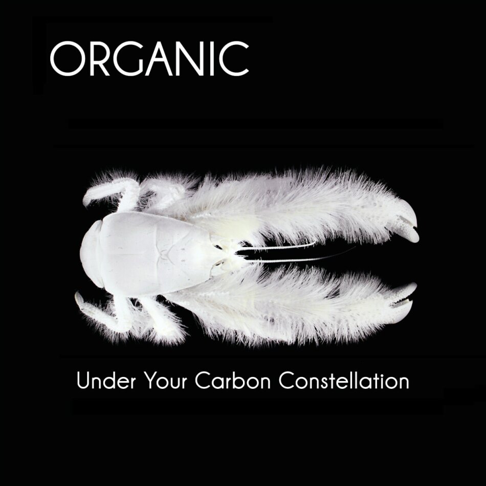 Organic - Under Your Carbon 2 LPs
