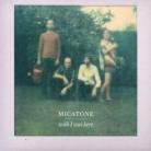 Micatone - Wish I Was Here LP