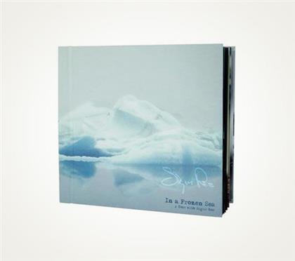 Sigur Ros - In A Frozen Sea (Limited Edition, 7 LPs)