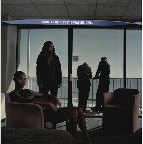Skunk Anansie - Post Orgasmic Chill LP