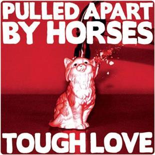 Pulled Apart By Horses - Tough Love LP