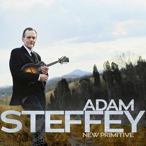 Adam Steffey - New Primitive