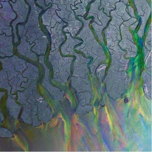 Alt-J - An Awesome Wave LP + Digital Copy