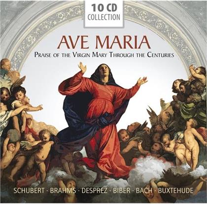 Dufay Ensemble, Salzburger Barockensemble, Regensburger Domspatzen, Franz Schubert (1797-1828), &hellip; - Ave Maria Von : Praise of the Virgin Through the Centuries (10 CDs)