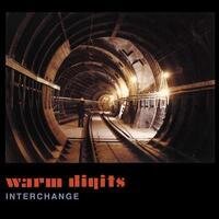 Warm Digits - Interchange 2 LPs