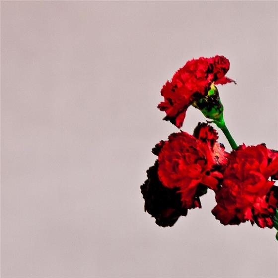 John Legend - Love In The Future Deluxe Edition