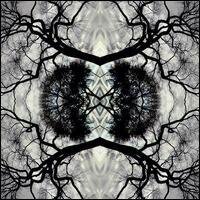 Adam Rudolph - Sonic Mandala Go: Organic Orchestra