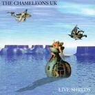 Chameleons - Live Shreds