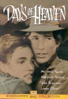 Days of heaven (1978)