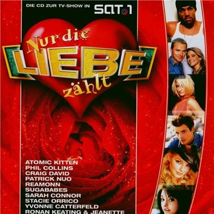 Various - Nur Die Liebe Zaehlt-Lovesongs (2 LPs)