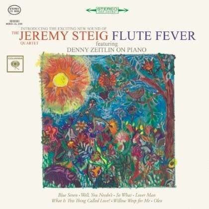 Jeremy Steig - Flute Fever