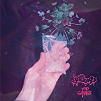 Jessica93 - Who Cares LP