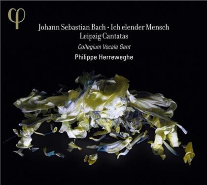 Collegium Vocale Gent, Dorothee Mields, Damien Guillon, Thomas Hobbs, Johann Sebastian Bach (1685-1750), &hellip; - Ich Elender Mensch - Leipzig Cantatas Vol. 2