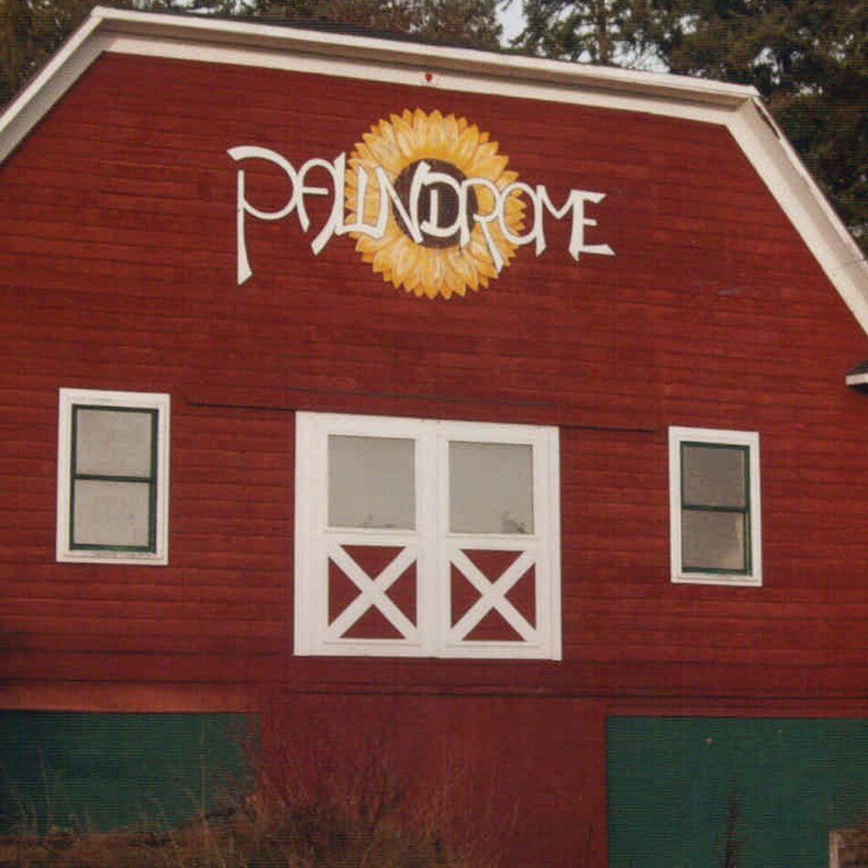 The Glass - Palindrome