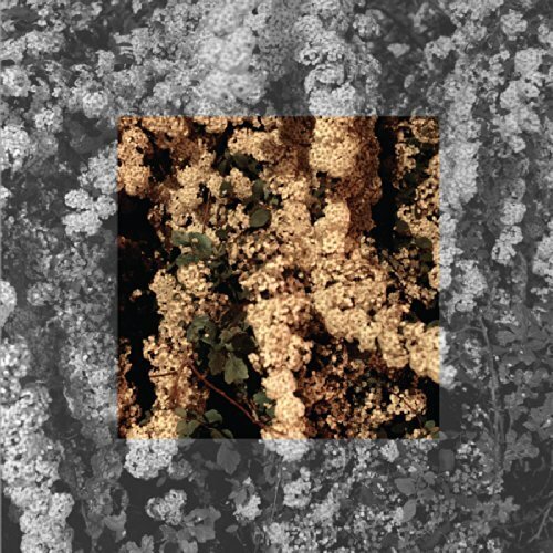 Cleared - Drown LP