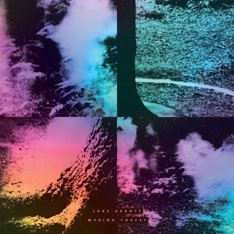Luke Abbott - Wysing Forest LP + Digital Copy