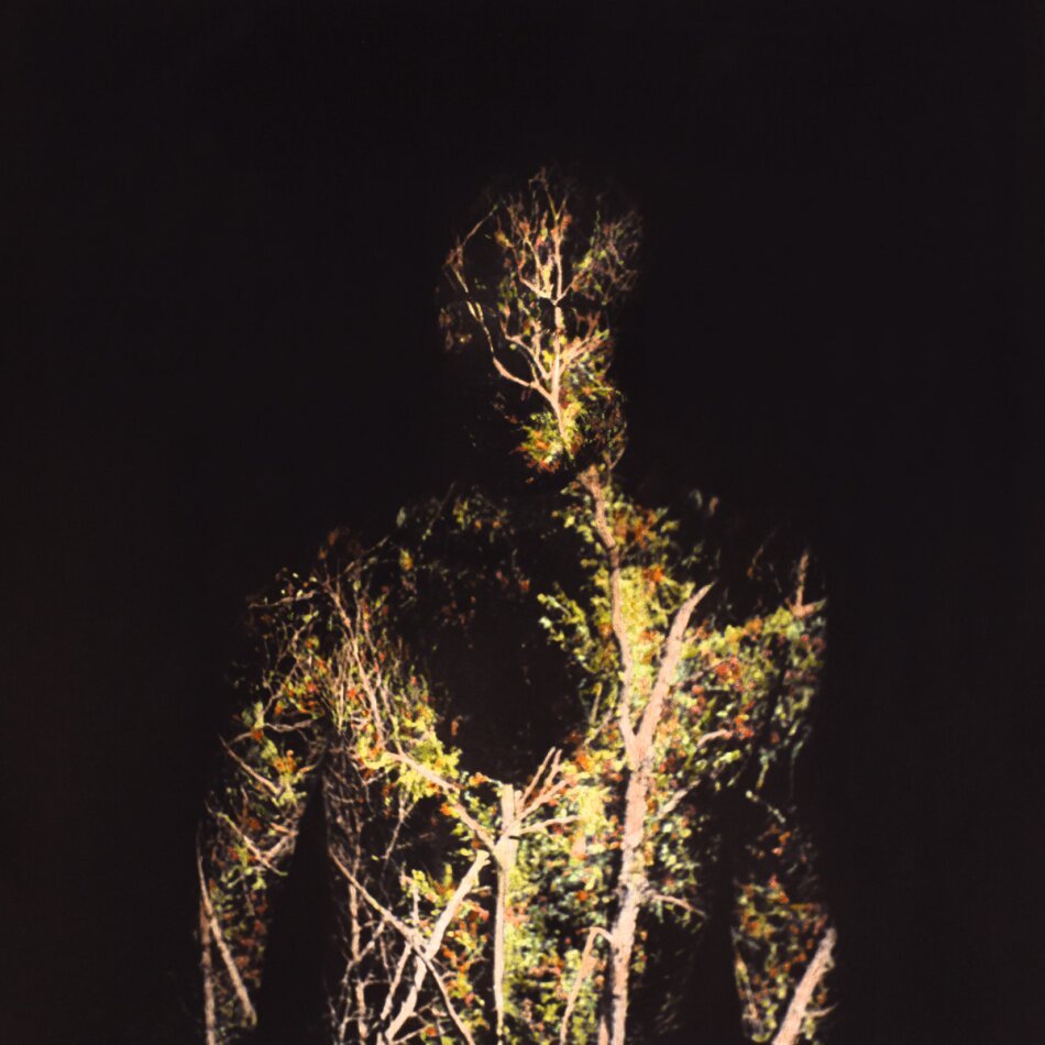 O - When Plants Turn Into Stones LP