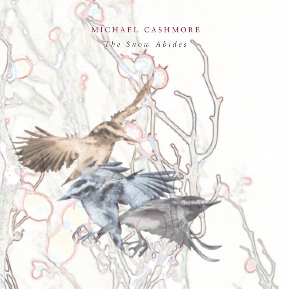 Michael Cashmore - Snow Abides