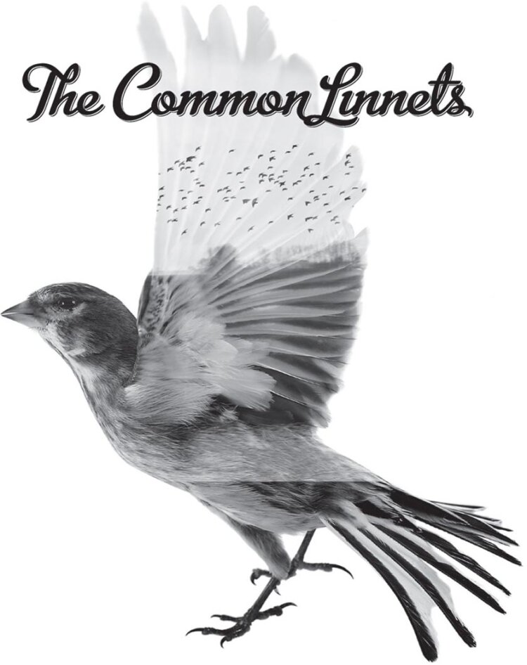 The Common Linnets - --- - Music On Vinyl LP