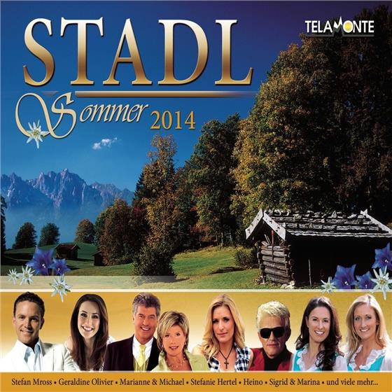 Stadl-Sommer 2014 3 CD