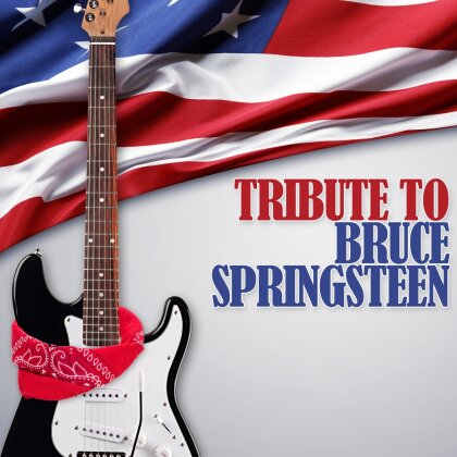 Tribute To Springsteen Bruce - Various - ZYX, 2014 Version