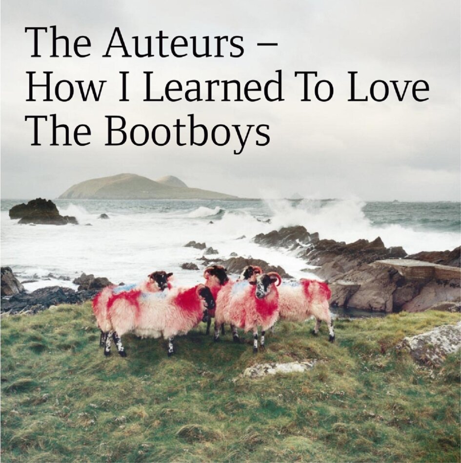 The Auteurs - How I Learned To Love The Bootboys LP