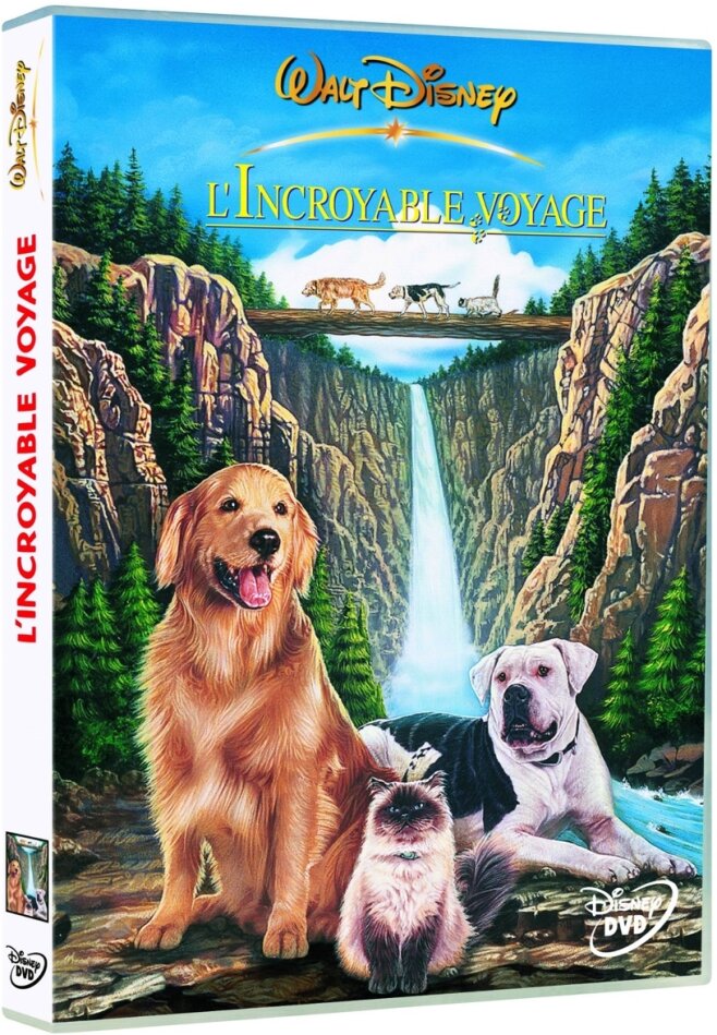 L'incroyable voyage (1993)