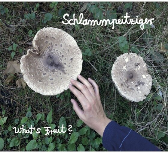 Schlammpeitziger - What's Fruit LP + Digital Copy