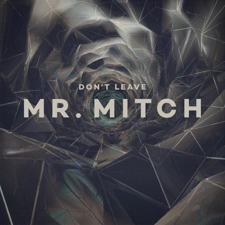 Mr. Mitch - Don't Leave 12" Maxi