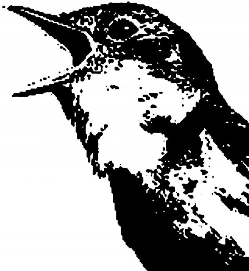 Nightingale Variations
