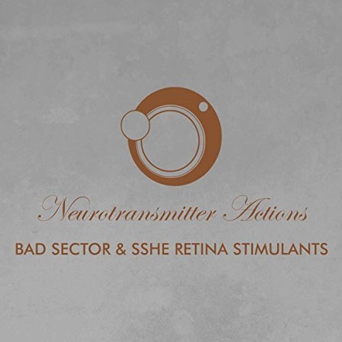 Bad Sector & Sshe Retina - Neurotransmitter Actions