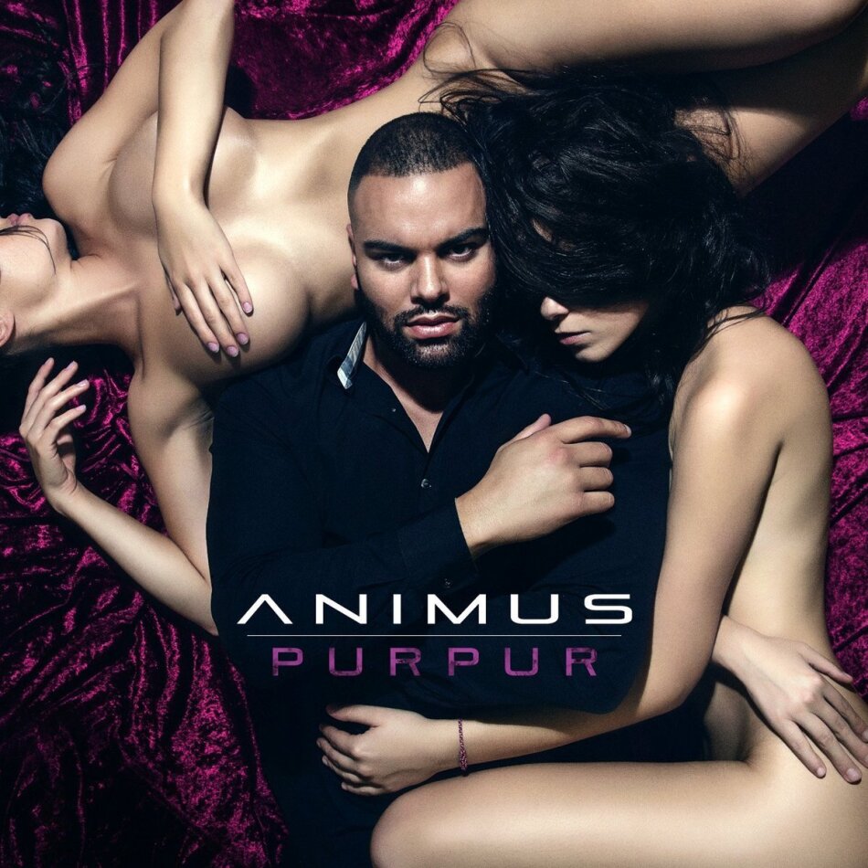 Animus - Purpur