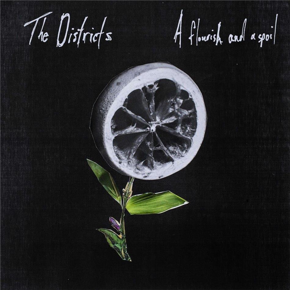 The Districts - A Flourish & A Spoil LP