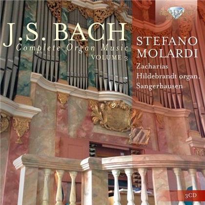 Johann Sebastian Bach (1685-1750) & Org Lounge - Complete Organ Music Vol.3 - Zacharias Hildebrandt Organ, Sangerhausen (3 CDs)