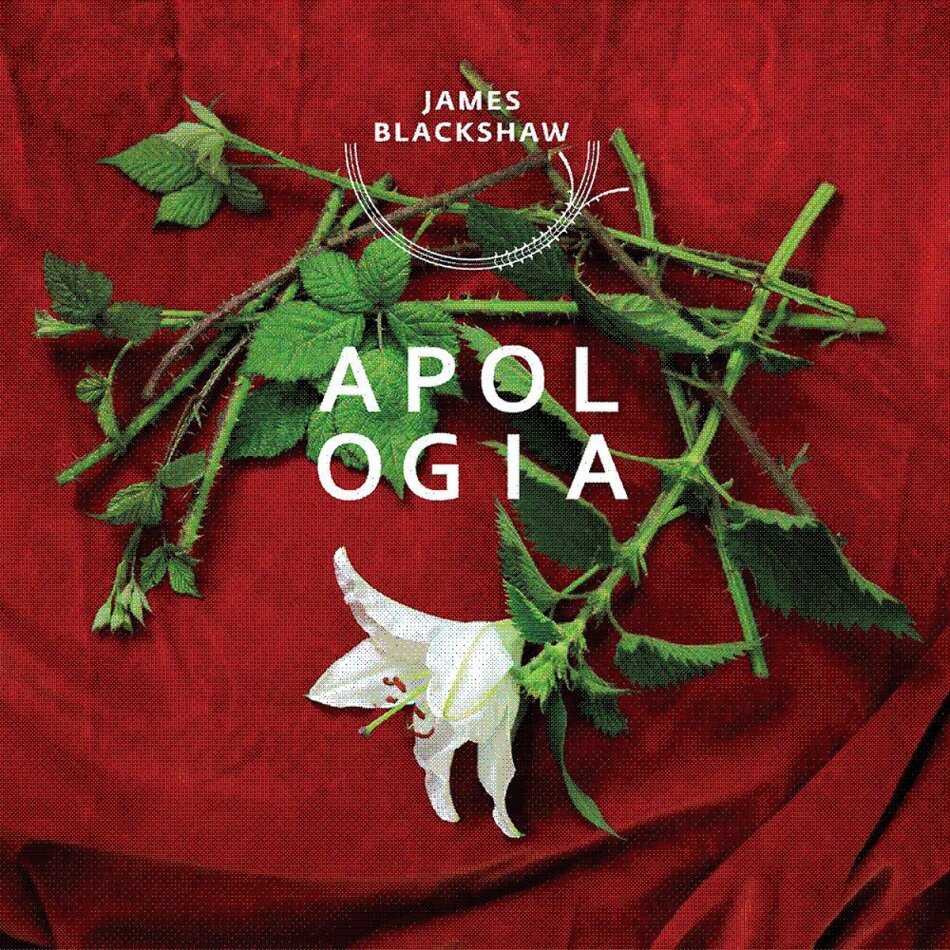 James Blackshaw - Apologia LP