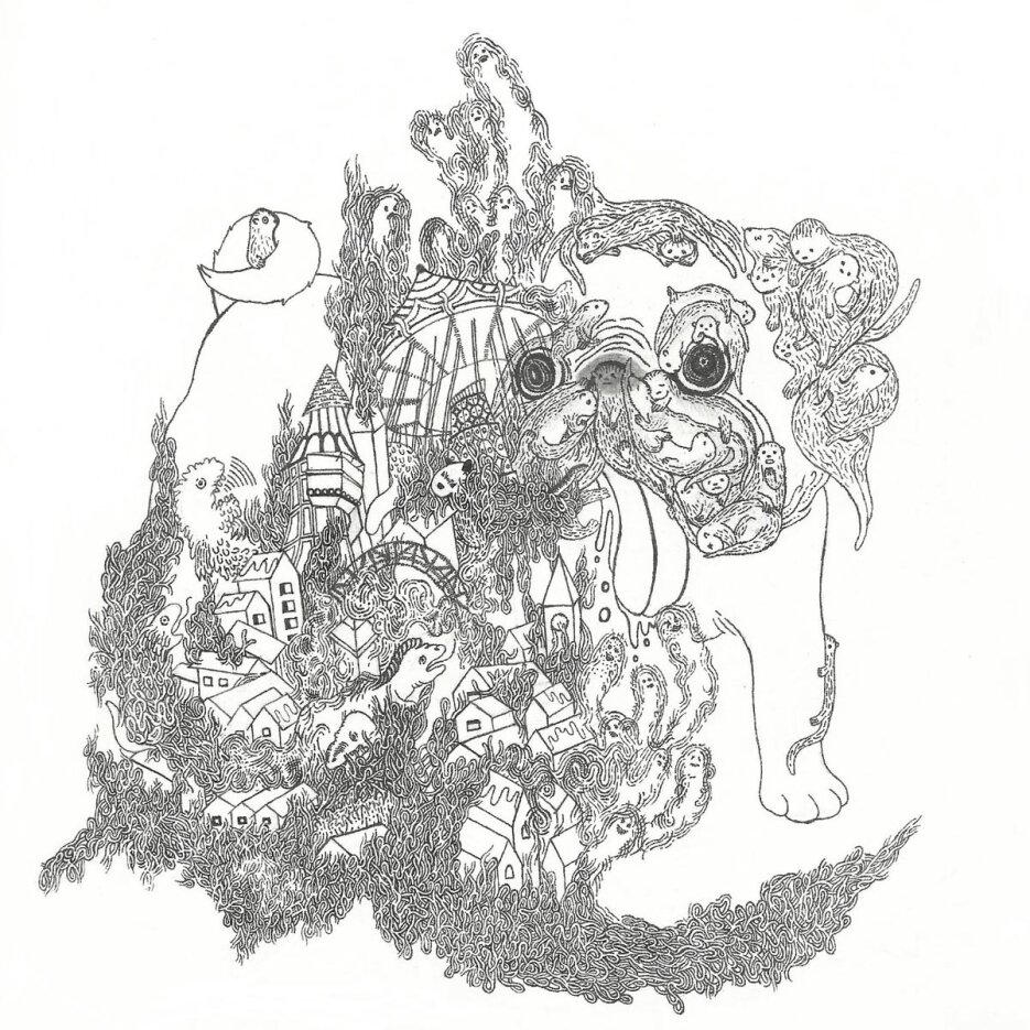 James Blackshaw - Summoning Suns LP