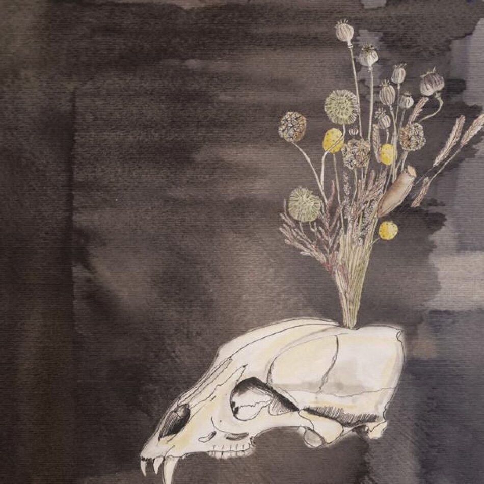 Steve Gunn & The Black Twig Pickers - Seasonal Hire