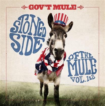 Gov't Mule - Stoned Side Of The Mule (2 LP)