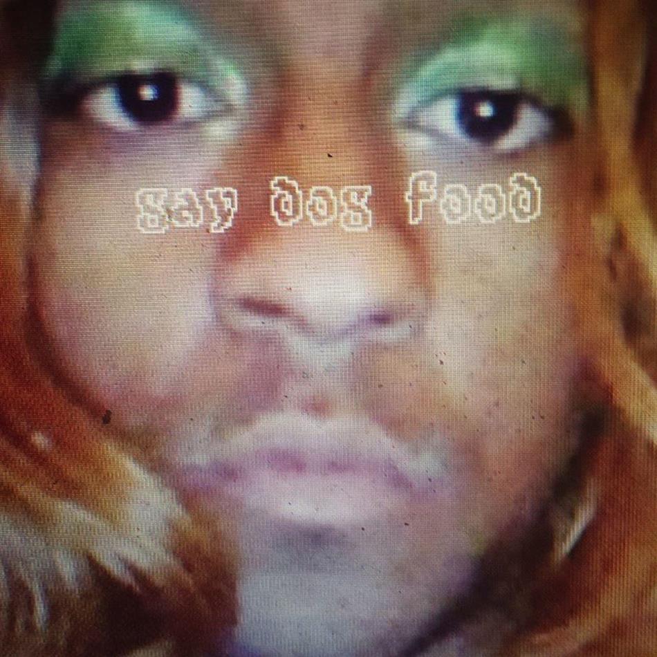 Mykki Blanco - Presents Gay Dog Food - Purple Vinyl Colored, LP