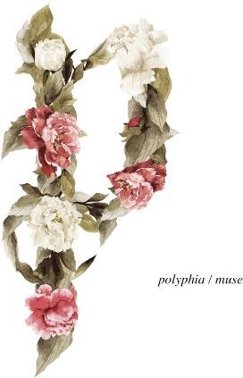 Polyphia - Muse