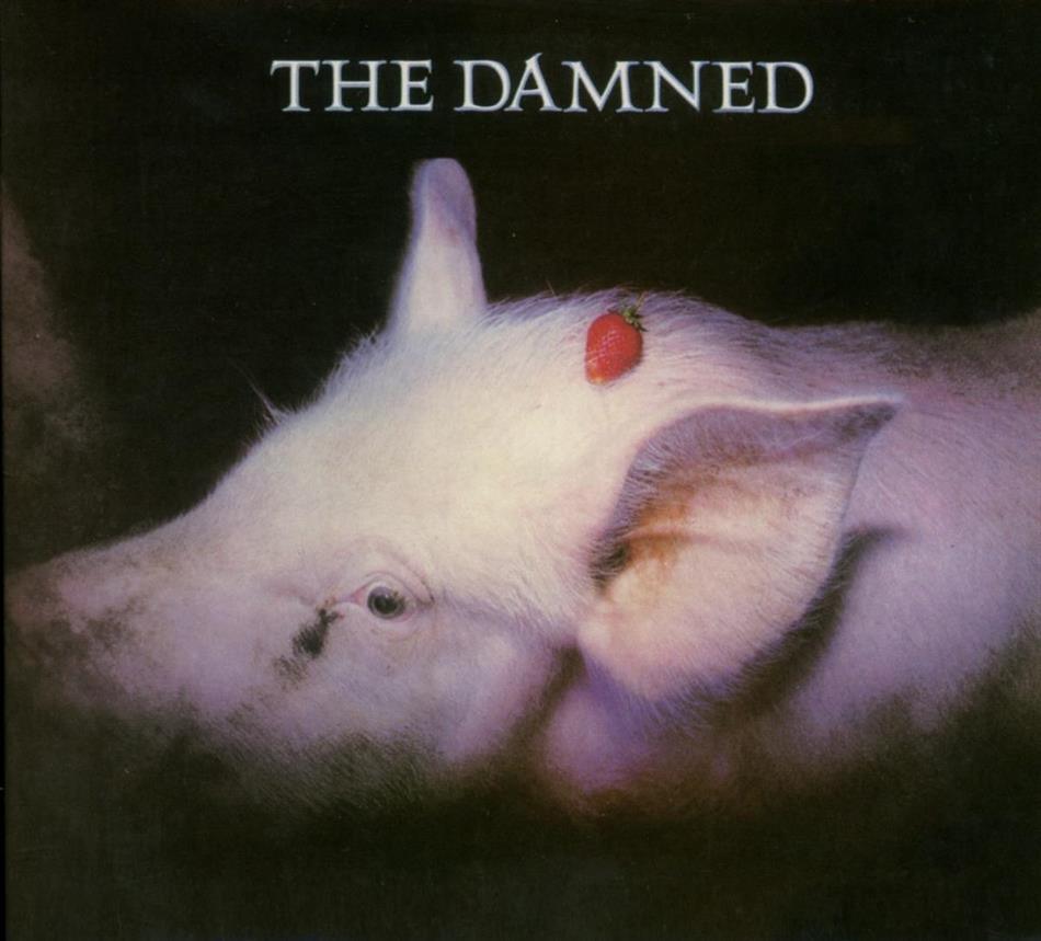 The Damned - Strawberries New Version
