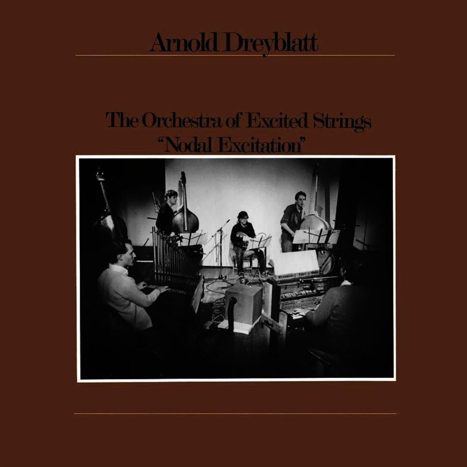 Arnold Dreyblatt - Nodal Excitation LP