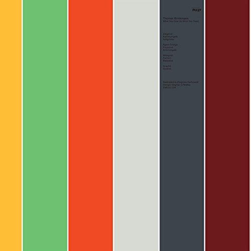 Thomas Brinkmann - What You Hear (Is What You Hear)
