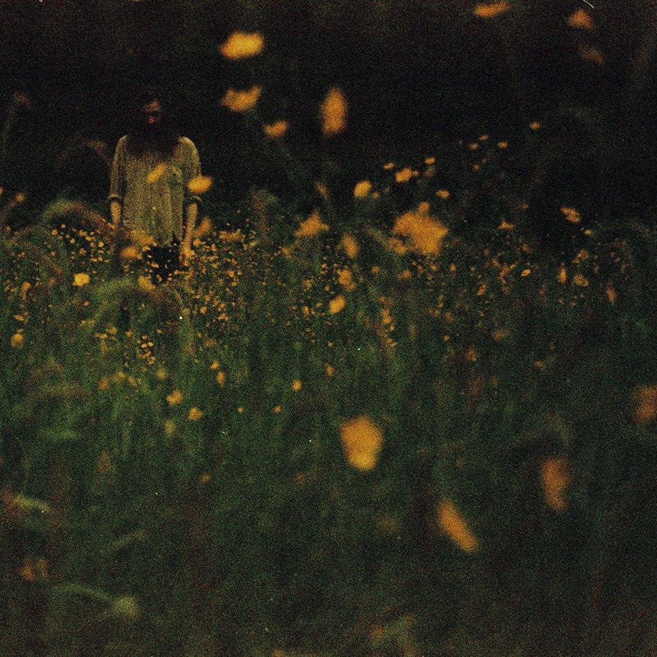 Robin Adams - Garden