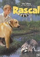 Rascal