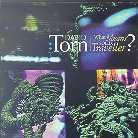 David Torn - What Means Solid