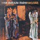 Pete Droge - Find A Door