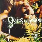 Cyndi Lauper - Sisters Of Avalon