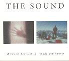 The Sound - Shock Of Daylight